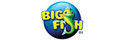 bigfishgames.com